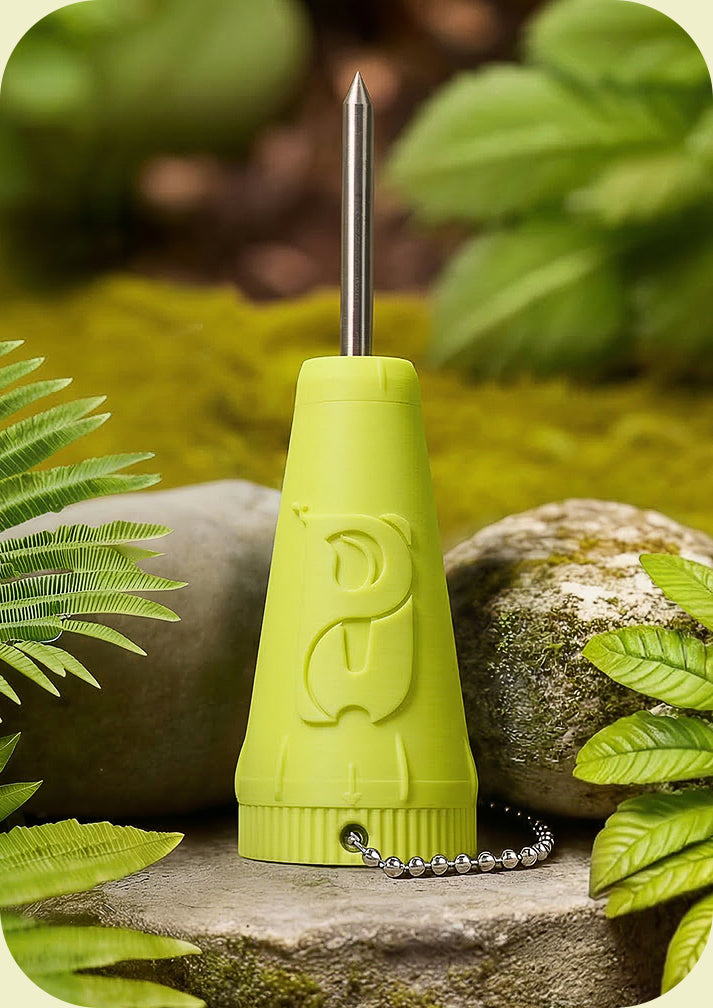 Set Farbig 5 + 1 🎁 🤭💚🧡💙💜